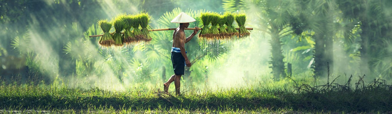 ASIA & THE FAR EAST Logo